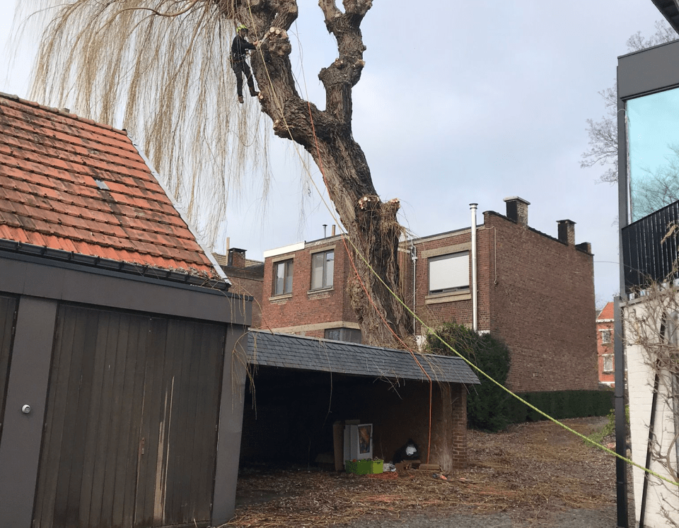 Boomverzorging Sint-Margriete-Houtem